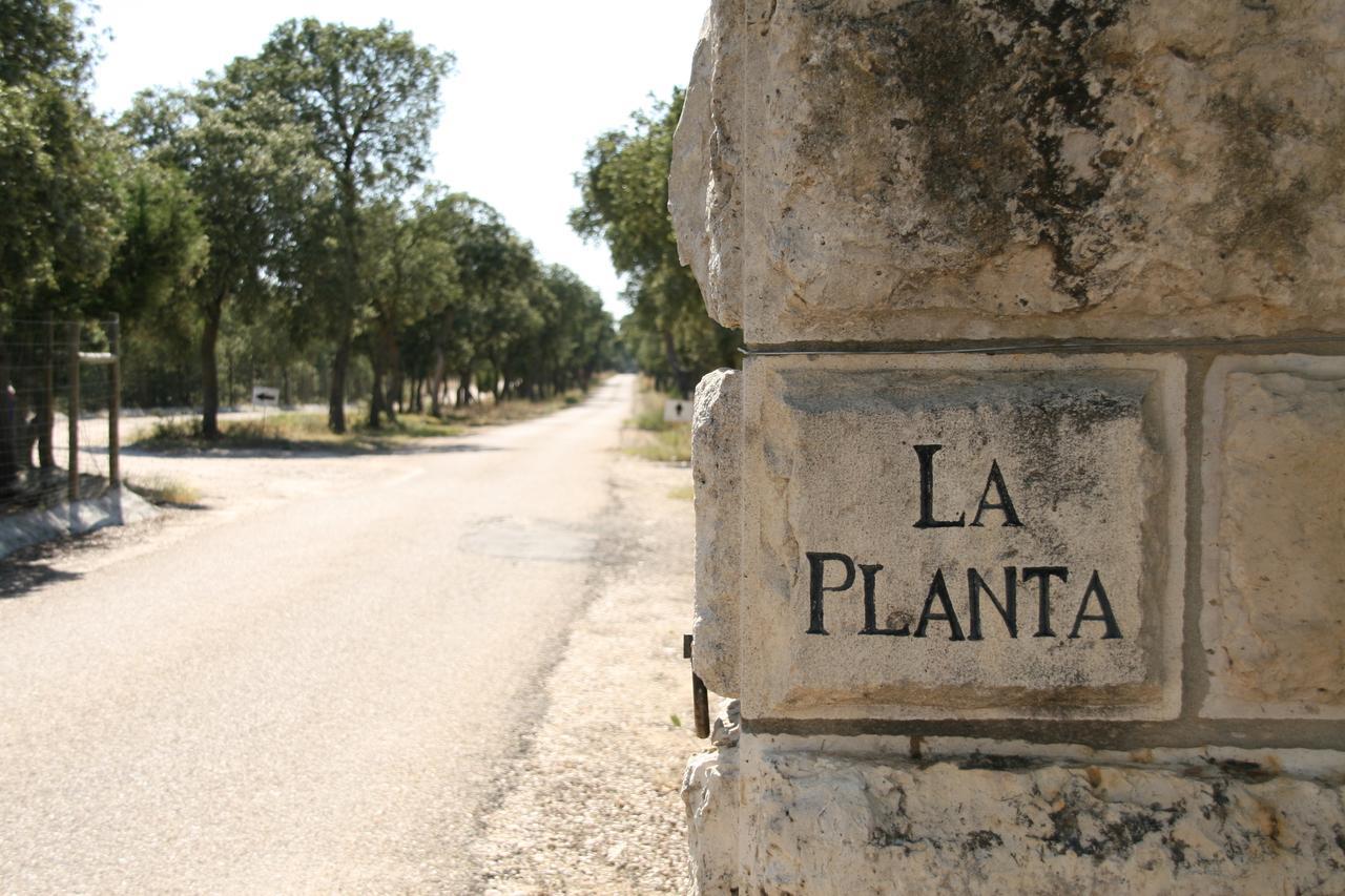 La Casita De La Planta Hotel Quintanilla de Onesimo Exterior photo